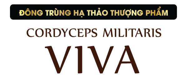 Đông Trùng Hạ Thảo Viva