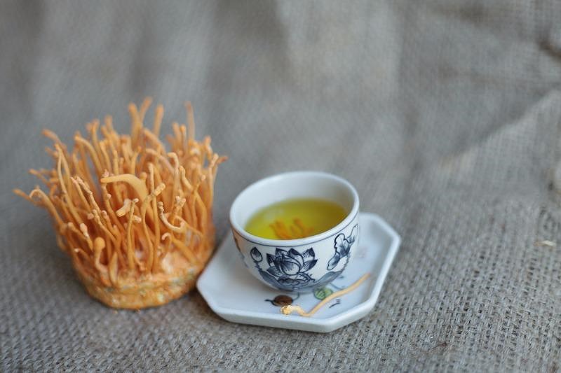 ÄÃ´ng trÃ¹ng háº¡ tháº£o vÃ  nhá»¯ng Äiá»u chÆ°a biáº¿t - áº£nh 2