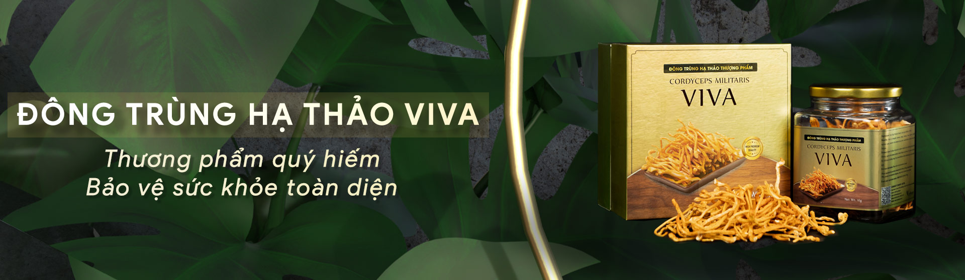 Banner Đông Trùng Hạ Thảo Viva